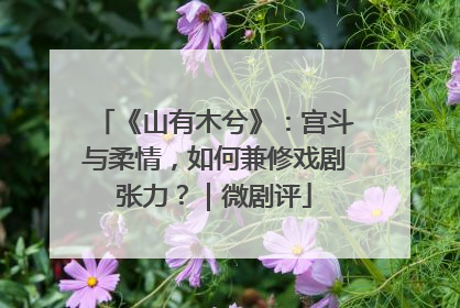 《山有木兮》：宫斗与柔情，如何兼修戏剧张力？｜微剧评