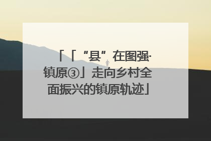 「“县”在图强·镇原③」走向乡村全面振兴的镇原轨迹