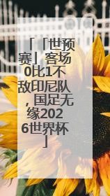 「世预赛」客场0比1不敌印尼队，国足无缘2026世界杯