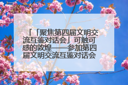 「聚焦第四届文明交流互鉴对话会」可触可感的敦煌——参加第四届文明交流互鉴对话会的外宾参观上元市集