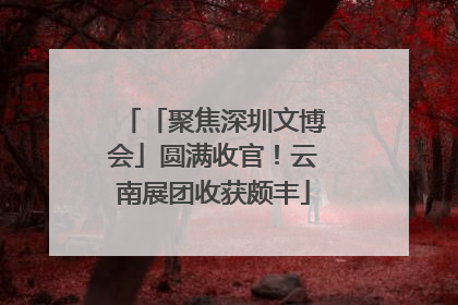 「聚焦深圳文博会」圆满收官！云南展团收获颇丰
