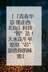 「青春华章·重走西北角」科技“智”造！天水花牛苹果用“芯”甜透你的味蕾