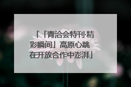 「青洽会特刊·精彩瞬间」高原心跳 在开放合作中澎湃