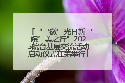 “‘徽’光日新‘皖’美之行”2025皖台基层交流活动启动仪式在芜举行