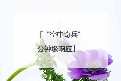 “空中奇兵”分钟级响应