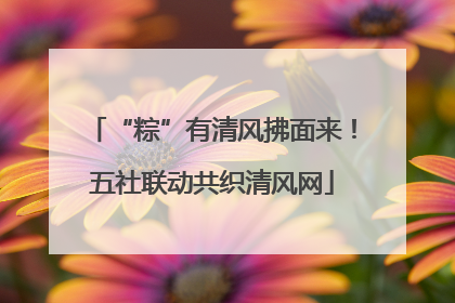 “粽”有清风拂面来！五社联动共织清风网