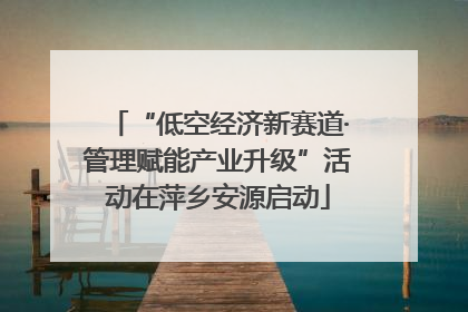 “低空经济新赛道·管理赋能产业升级”活动在萍乡安源启动