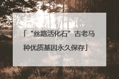 “丝路活化石”古老马种优质基因永久保存