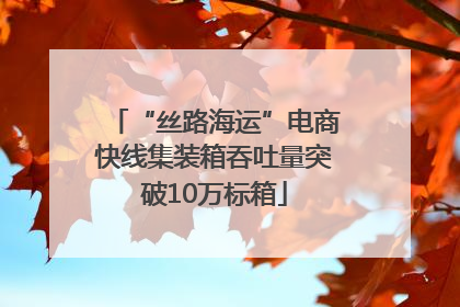 “丝路海运”电商快线集装箱吞吐量突破10万标箱