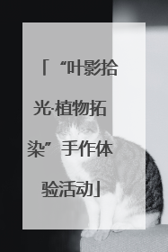 “叶影拾光·植物拓染”手作体验活动