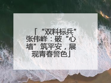 “双料标兵”张伟峰：破“心墙”筑平安，展现青春警色