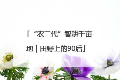 “农二代”智耕千亩地｜田野上的90后