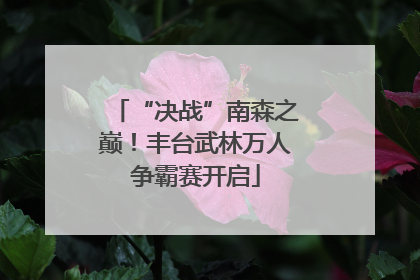 “决战”南森之巅！丰台武林万人争霸赛开启