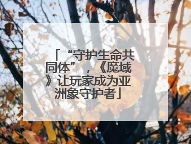 “守护生命共同体”，《魔域》让玩家成为亚洲象守护者