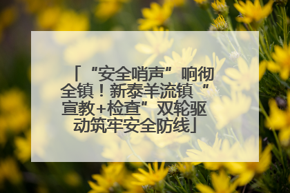 “安全哨声”响彻全镇！新泰羊流镇“宣教+检查”双轮驱动筑牢安全防线