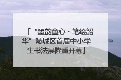 “墨韵童心・笔绘韶华”陵城区首届中小学生书法展隆重开幕