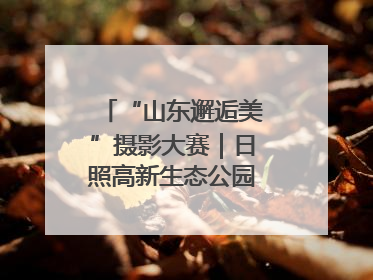“山东邂逅美”摄影大赛｜日照高新生态公园音乐喷泉广场