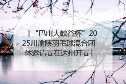 “巴山大峡谷杯”2025川渝陕羽毛球混合团体邀请赛在达州开赛