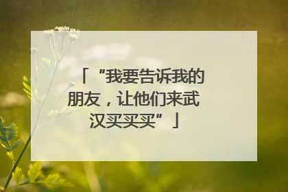 “我要告诉我的朋友，让他们来武汉买买买”