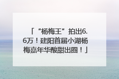 “杨梅王”拍出6.6万！建阳首届小湖杨梅嘉年华酸甜出圈！