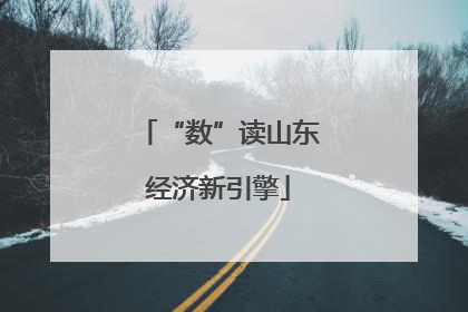 “数”读山东经济新引擎