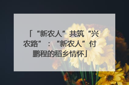 “新农人”共筑“兴农路”：“新农人”付鹏程的稻乡情怀