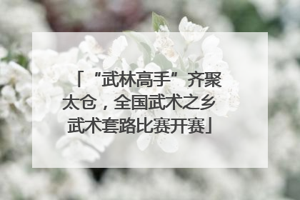 “武林高手”齐聚太仓，全国武术之乡武术套路比赛开赛