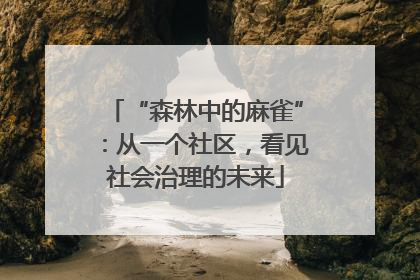 “森林中的麻雀”：从一个社区，看见社会治理的未来