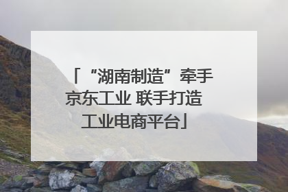“湖南制造”牵手京东工业 联手打造工业电商平台