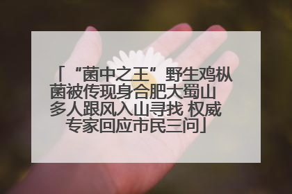 “菌中之王”野生鸡枞菌被传现身合肥大蜀山 多人跟风入山寻找 权威专家回应市民三问