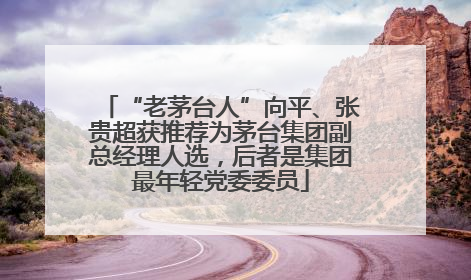 “老茅台人”向平、张贵超获推荐为茅台集团副总经理人选，后者是集团最年轻党委委员