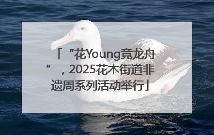 “花Young竞龙舟”，2025花木街道非遗周系列活动举行