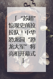 “苏超”惊现史前拉拉队！中华恐龙园“恐龙大军”将亮相开幕式
