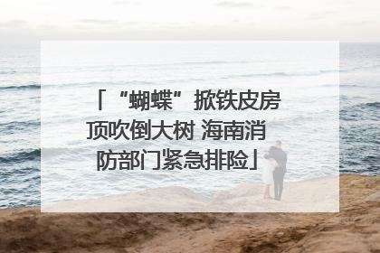 “蝴蝶”掀铁皮房顶吹倒大树 海南消防部门紧急排险