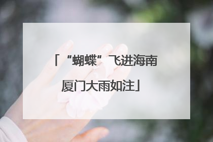 “蝴蝶”飞进海南 厦门大雨如注