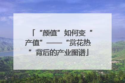 “颜值”如何变“产值”——“赏花热”背后的产业图谱