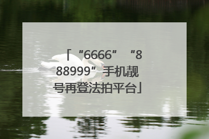 “6666”“888999”手机靓号再登法拍平台