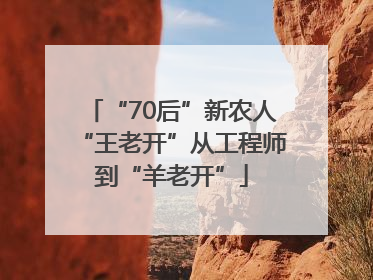 “70后”新农人“王老开”从工程师到“羊老开”