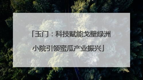 玉门：科技赋能戈壁绿洲 小院引领蜜瓜产业振兴