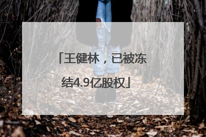 王健林，已被冻结4.9亿股权