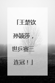 王楚钦孙颖莎，世乒赛三连冠！