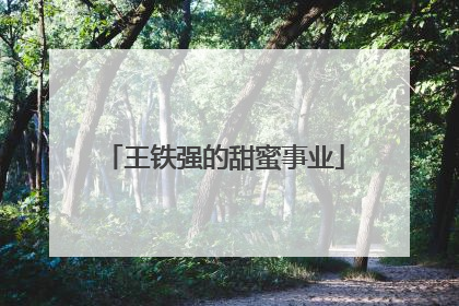 王铁强的甜蜜事业