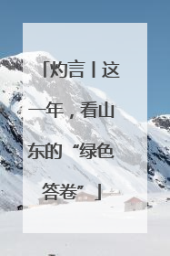 灼言丨这一年，看山东的“绿色答卷”