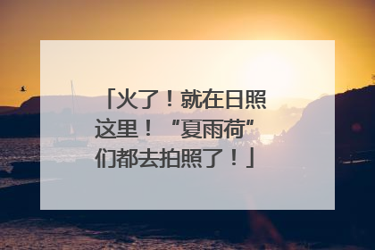 火了！就在日照这里！“夏雨荷”们都去拍照了！