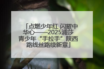 点燃少年红 闪耀中华心——2025浦莎青少年“手拉手”陕西路线丝路续新章