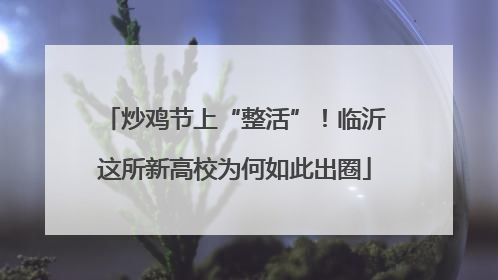 炒鸡节上“整活”！临沂这所新高校为何如此出圈