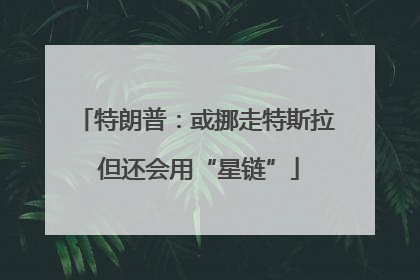 特朗普：或挪走特斯拉 但还会用“星链”