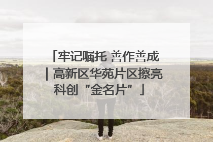 牢记嘱托 善作善成｜高新区华苑片区擦亮科创“金名片”