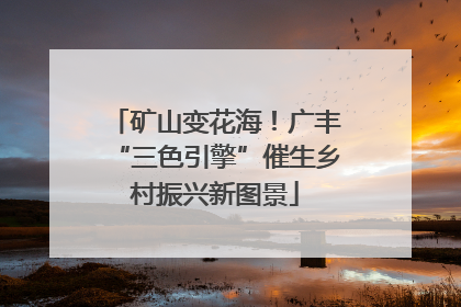 矿山变花海！广丰“三色引擎”催生乡村振兴新图景