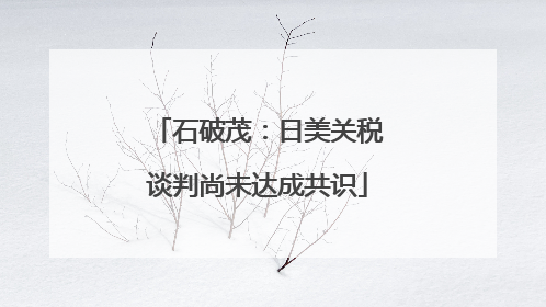 石破茂：日美关税谈判尚未达成共识
